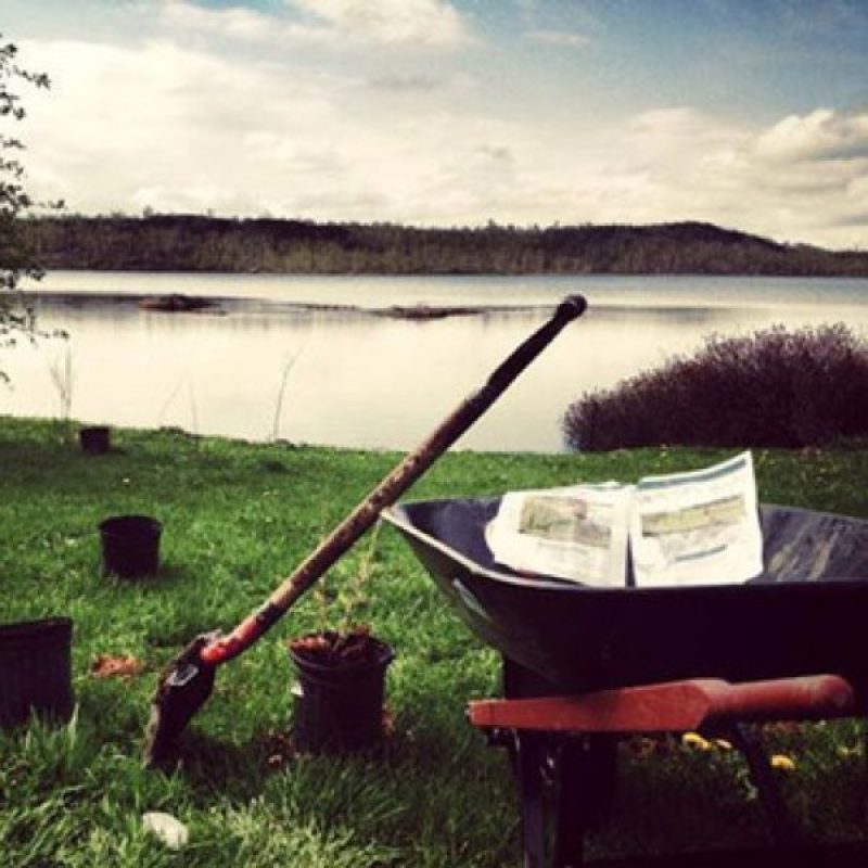 Exmaple of a completed shoreline