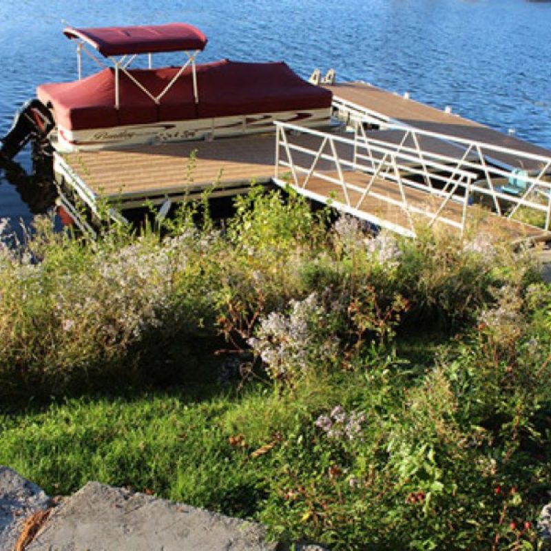 Exmaple of a completed shoreline
