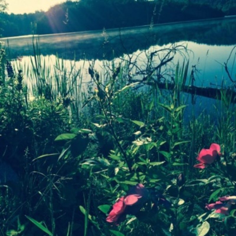 Exmaple of a completed shoreline